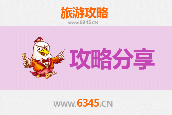 焦作温县至湄洲岛旅游攻略：跟团还是自由行？